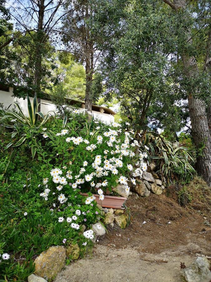 Apartamento Entre La Playa Y La Montana Calafell Εξωτερικό φωτογραφία